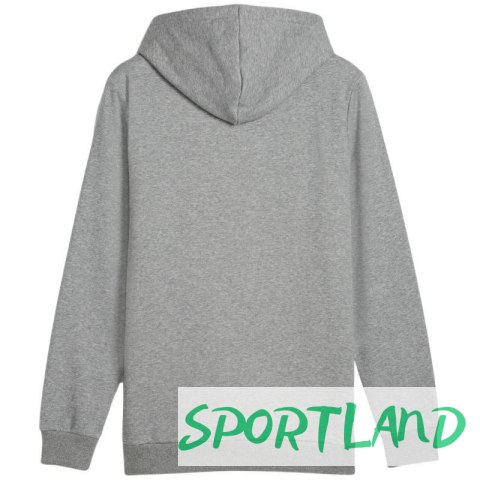 Bluza Puma Ess+ Logo LAB Gradient Hoodie FL M 681775 03 M Bluza Puma Ess+ Logo LAB Gradient Hoodie FL M 681775 03 M
