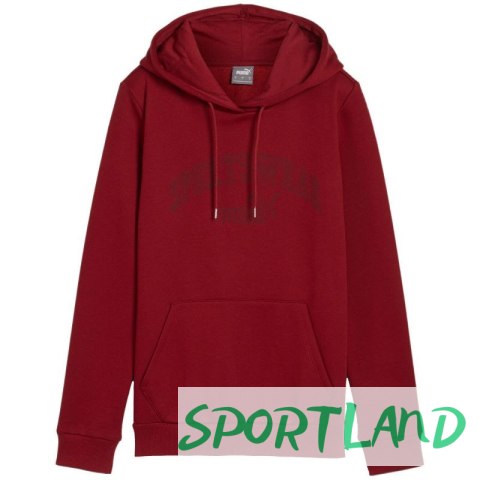Bluza Puma Ess+ Logo LAB Hoodie FL W 682987 13 L Bluza Puma Ess+ Logo LAB Hoodie FL W 682987 13 L