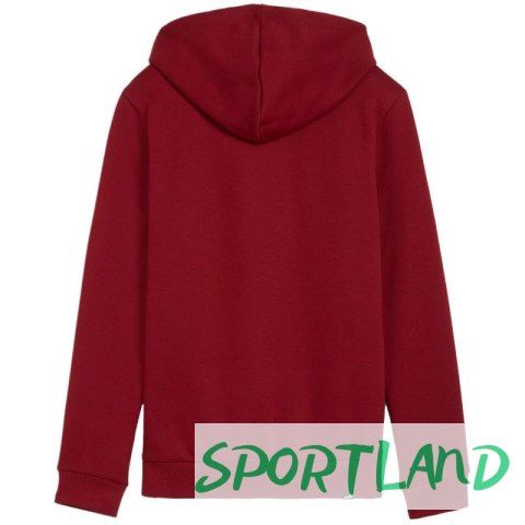 Bluza Puma Ess+ Logo LAB Hoodie FL W 682987 13 L Bluza Puma Ess+ Logo LAB Hoodie FL W 682987 13 L