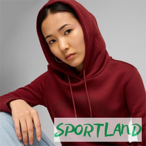 Bluza Puma Ess+ Logo LAB Hoodie FL W 682987 13 L Bluza Puma Ess+ Logo LAB Hoodie FL W 682987 13 L