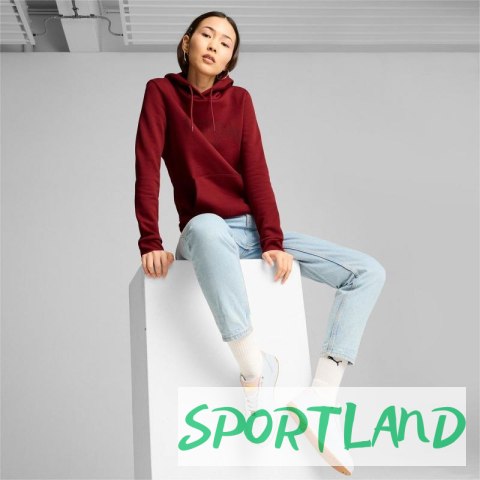 Bluza Puma Ess+ Logo LAB Hoodie FL W 682987 13 M Bluza Puma Ess+ Logo LAB Hoodie FL W 682987 13 M