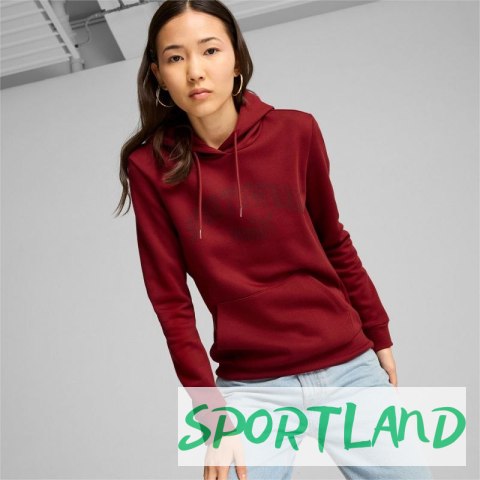Bluza Puma Ess+ Logo LAB Hoodie FL W 682987 13 M Bluza Puma Ess+ Logo LAB Hoodie FL W 682987 13 M