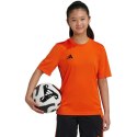 Koszulka adidas Tabela 23 Jersey Jr JJ1157 152cm