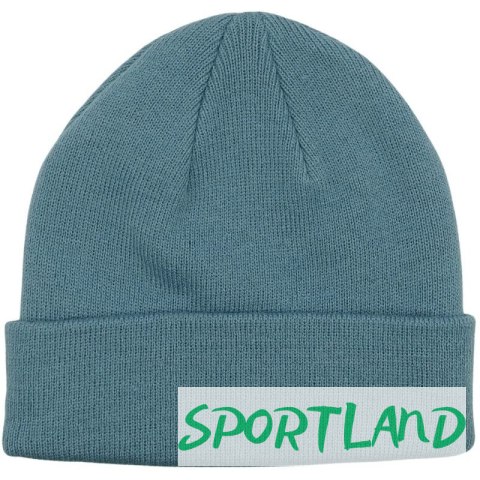 Czapka Champion Beanie Cap 806064 BS099 N/A Czapka Champion Beanie Cap 806064 BS099 N/A