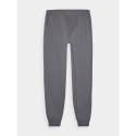 Spodnie dresowe 4F M 4FWMM00TTROM0943-25S S