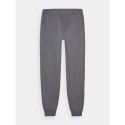 Spodnie dresowe 4F M 4FWMM00TTROM0943-25S S