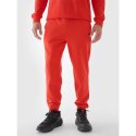 Spodnie dresowe 4F M 4FWMM00TTROM0943-70S L