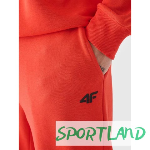 Spodnie dresowe 4F M 4FWMM00TTROM0943-70S S Spodnie dresowe 4F M 4FWMM00TTROM0943-70S S
