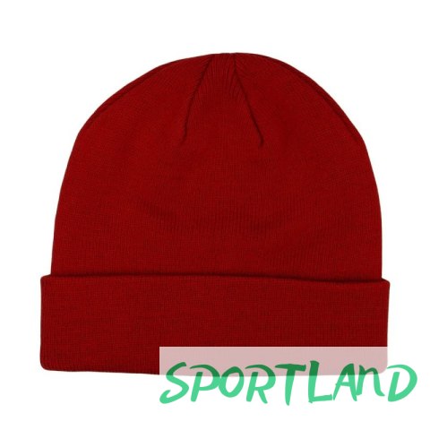 Czapka Champion Beanie Cap 806064 RS054 N/A Czapka Champion Beanie Cap 806064 RS054 N/A