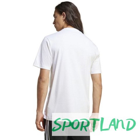 Koszulka adidas Modern Essentials Graphic M IW2634 L Koszulka adidas Modern Essentials Graphic M IW2634 L