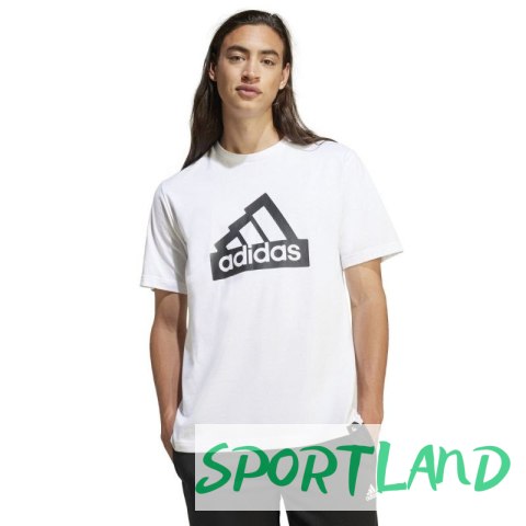 Koszulka adidas Modern Essentials Graphic M IW2634 M Koszulka adidas Modern Essentials Graphic M IW2634 M