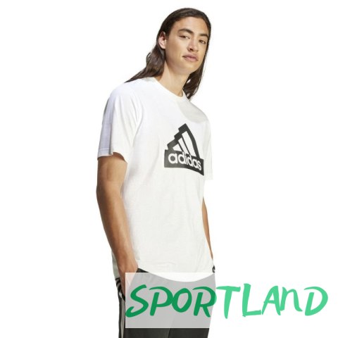 Koszulka adidas Modern Essentials Graphic M IW2634 M Koszulka adidas Modern Essentials Graphic M IW2634 M