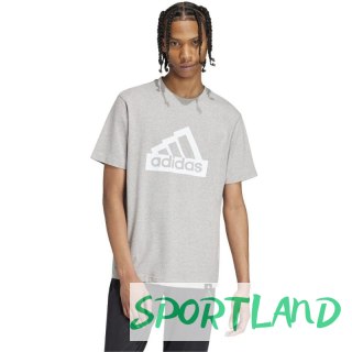 Koszulka adidas Modern Essentials Graphic M IW2648 S