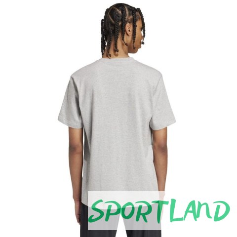 Koszulka adidas Modern Essentials Graphic M IW2648 S Koszulka adidas Modern Essentials Graphic M IW2648 S