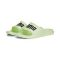 Klapki Puma Divecat V2 Lite 374823-19 39.0
