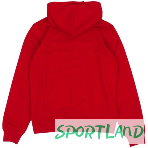 Bluza Champion Hooded M 220253 RS054 L Bluza Champion Hooded M 220253 RS054 L