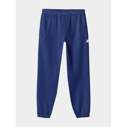 Spodnie dresowe 4F M 4FWAW24TTROM1277-31S 2XL