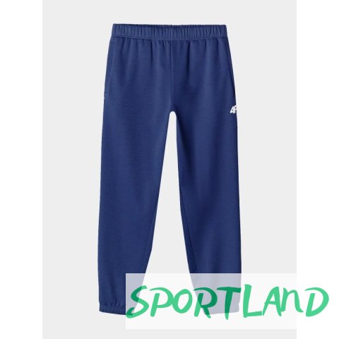 Spodnie dresowe 4F M 4FWAW24TTROM1277-31S L