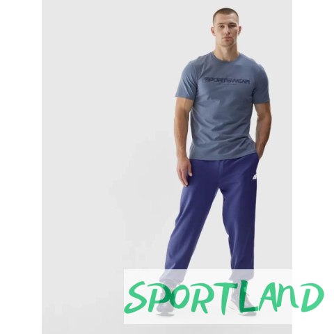 Spodnie dresowe 4F M 4FWAW24TTROM1277-31S L
