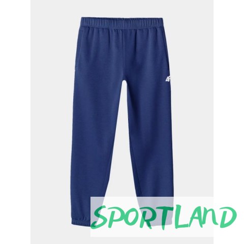 Spodnie dresowe 4F M 4FWAW24TTROM1277-31S L