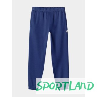 Spodnie dresowe 4F M 4FWAW24TTROM1277-31S S