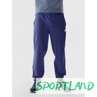 Spodnie dresowe 4F M 4FWAW24TTROM1277-31S S