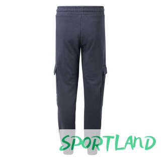 Spodnie Hi-Tec Tibar Jrb Jr 92800553789 164