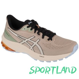 Buty do biegania Asics GT-1000 12 TR M 1011B761-250 43,5