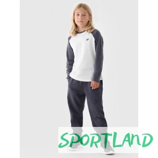Spodnie dresowe 4F Jr 4FJWMM00TTROM0811-25S 128