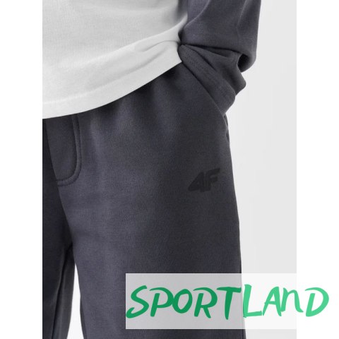 Spodnie dresowe 4F Jr 4FJWMM00TTROM0811-25S 164 Spodnie dresowe 4F Jr 4FJWMM00TTROM0811-25S 164