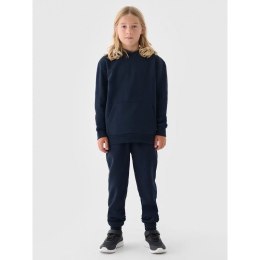 Spodnie dresowe 4F Jr 4FJWMM00TTROM0811-31S 164