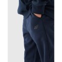 Spodnie dresowe 4F Jr 4FJWMM00TTROM0811-31S 164
