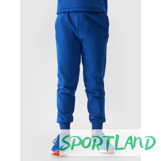 Spodnie dresowe 4F Jr 4FJWMM00TTROM0811-36S 164