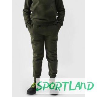 Spodnie dresowe 4F Jr 4FJWMM00TTROM0811-43S 164
