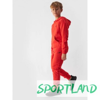 Spodnie dresowe 4F Jr 4FJWMM00TTROM0811-70S 164