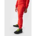 Spodnie dresowe 4F Jr 4FJWMM00TTROM0811-70S 164