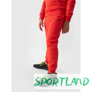 Spodnie dresowe 4F Jr 4FJWMM00TTROM0811-70S 164