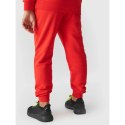 Spodnie dresowe 4F Jr 4FJWMM00TTROM0811-70S 164