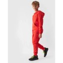 Spodnie dresowe 4F Jr 4FJWMM00TTROM0811-70S 164