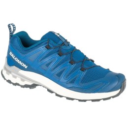 Buty do biegania Salomon XA Pro 3D v9 M L47817800 43 1/3