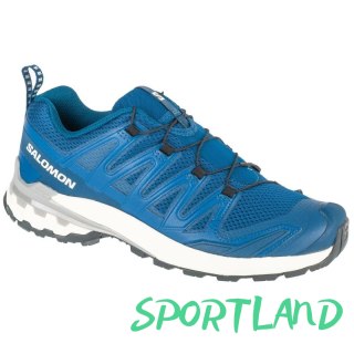 Buty do biegania Salomon XA Pro 3D v9 M L47817800 44 2/3