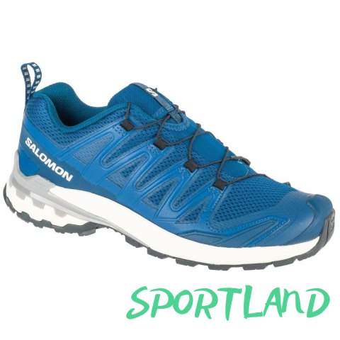 Buty do biegania Salomon XA Pro 3D v9 M L47817800 44 2/3 Buty do biegania Salomon XA Pro 3D v9 M L47817800 44 2/3