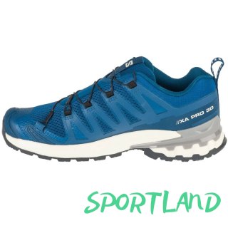 Buty do biegania Salomon XA Pro 3D v9 M L47817800 44