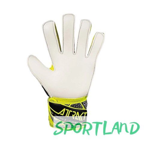 Rękawice bramkarskie Reusch Attrakt Solid Jr 5572515 2014 6 Rękawice bramkarskie Reusch Attrakt Solid Jr 5572515 2014 6