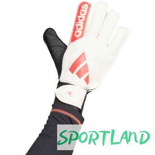 Rękawice bramkarskie adidas Copa Club Goalkeeper M JH3789 11