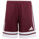 Spodenki adidas Squadra 25 Jr JC8665 116 cm