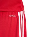 Spodenki adidas Squadra 25 Jr JJ2416 152cm Spodenki adidas Squadra 25 Jr JJ2416 152cm