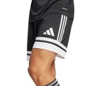 Spodenki adidas Squadra 25 M JH3402 L