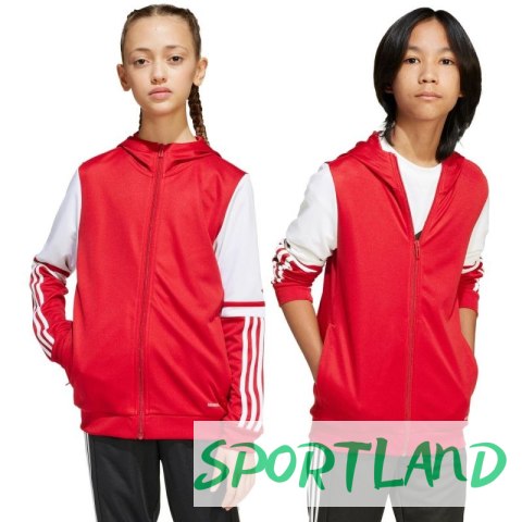 Bluza adidas Squadra 25 Hoodie Jr JD4801 164 cm Bluza adidas Squadra 25 Hoodie Jr JD4801 164 cm