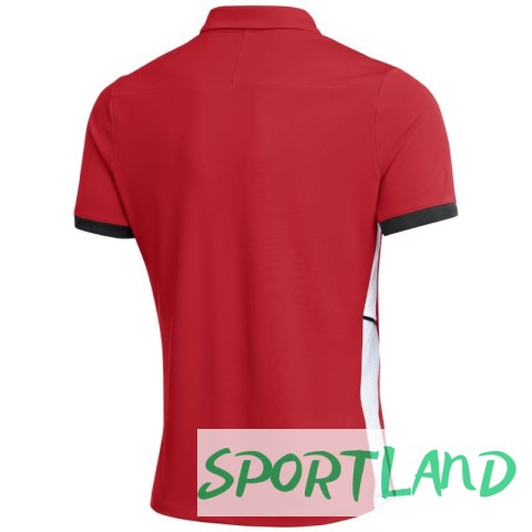 Koszulka Nike Dri-Fit Academy 25 SS Polo M FZ9759 657 L Koszulka Nike Dri-Fit Academy 25 SS Polo M FZ9759 657 L
